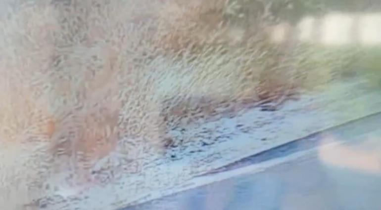 Ankaradaki yangın kundaklama çıktı Çakmakla otluk alanı farklı yerlerden tutuşturdu