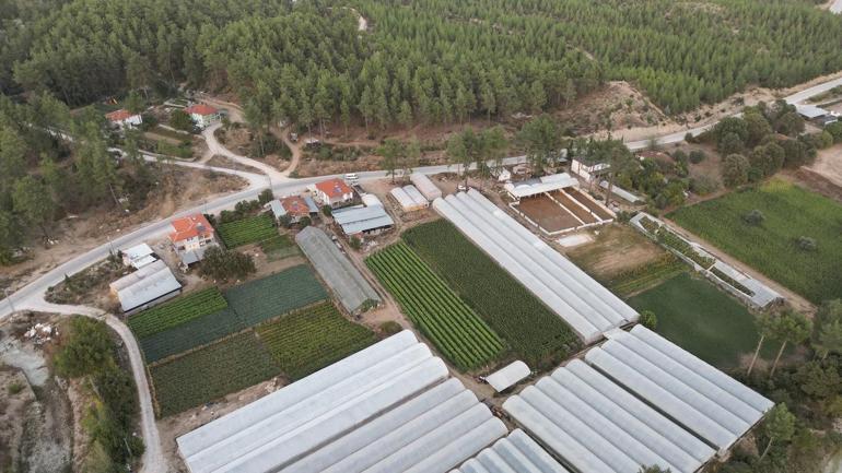Yatırımcının gözdesi: Arsa Hangi bölge revaçta, fiyatlar nasıl şekilleniyor