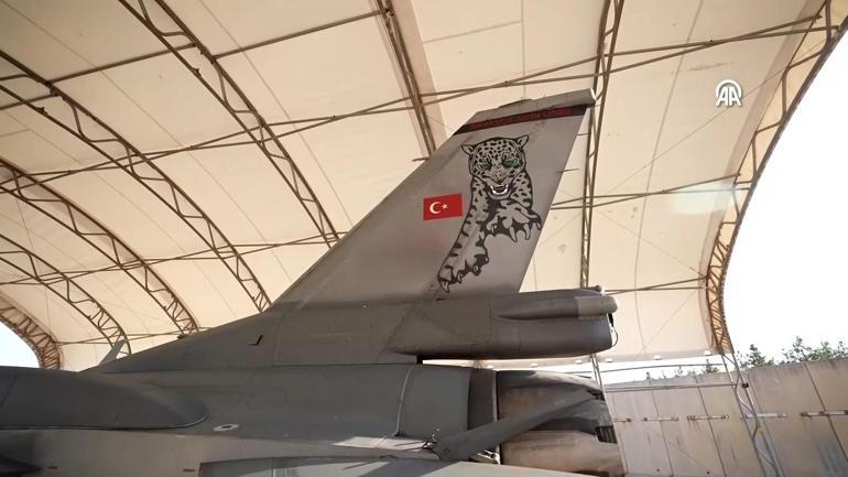 Pars filosuna hava polisliği görevi