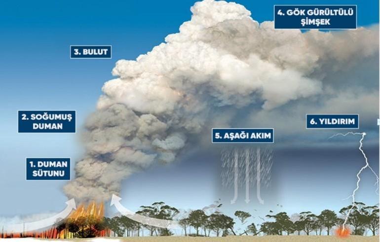 Orman Yangınlarını Şiddetlendirebilen Hava Sistemi Yangın (Pyrocumulonimbus) Bulutları