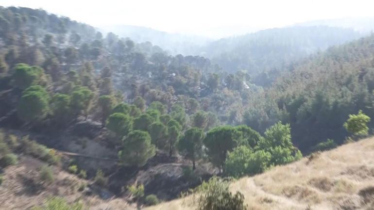  İŞTE SUSURLUKTA YANGIN HASARI