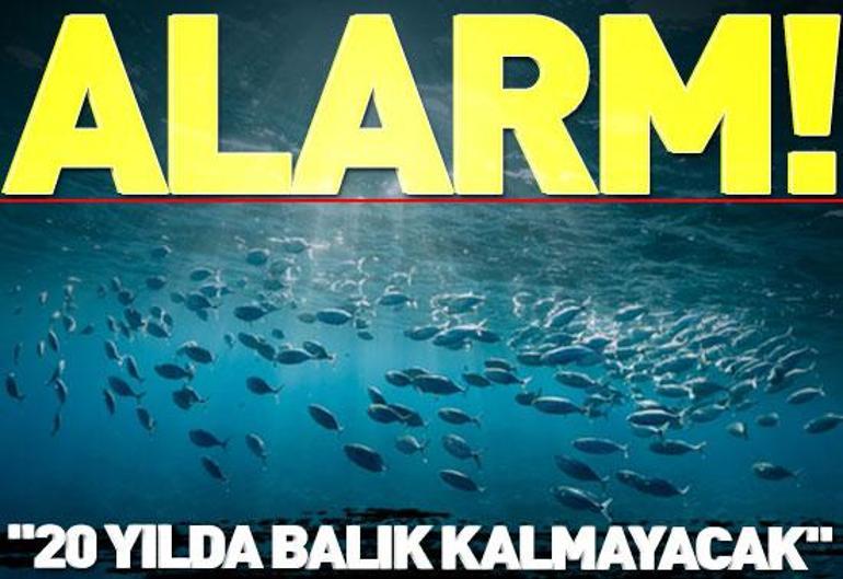 10 Ağustos Pazartesi 2026 gününün son dakika önemli gelişmeleri (CNN TÜRK 11.30 bülteni)