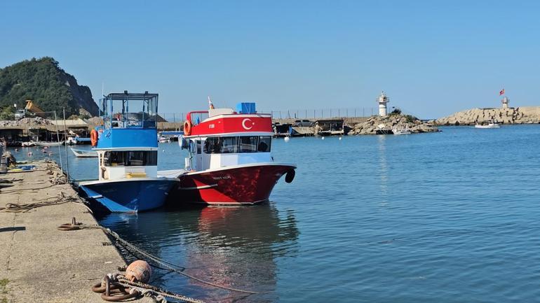İlk av gününde 50 ton balıkla döndüler