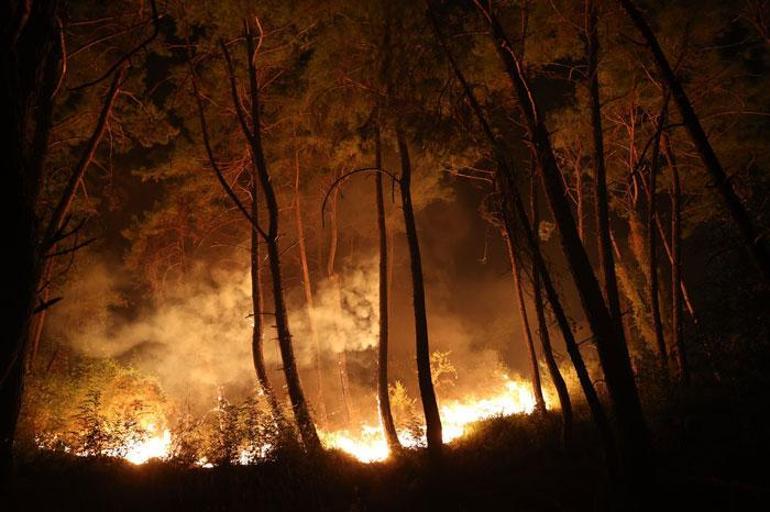 Kayseri, Adana ve Antalyada orman yangını Alevler yerleşim yerlerine ulaştı