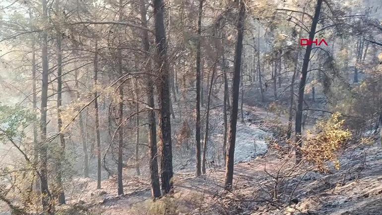 Antalyadaki orman yangınının enerjisi düşürüldü