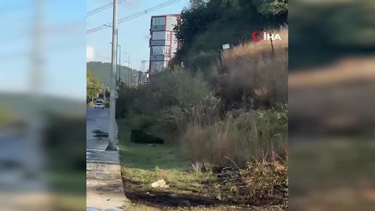 Hurdacıya kızdı, yatak yaktı, otluk yandı