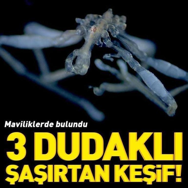 25 Eylül 2026 Cuma gününün son dakika önemli gelişmeleri (CNN TÜRK 16.30 bülteni)