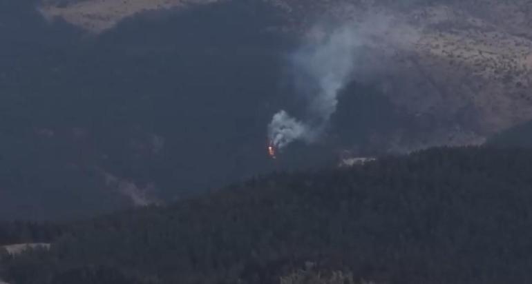Bolu’da ormanlık alanda yangın çıktı