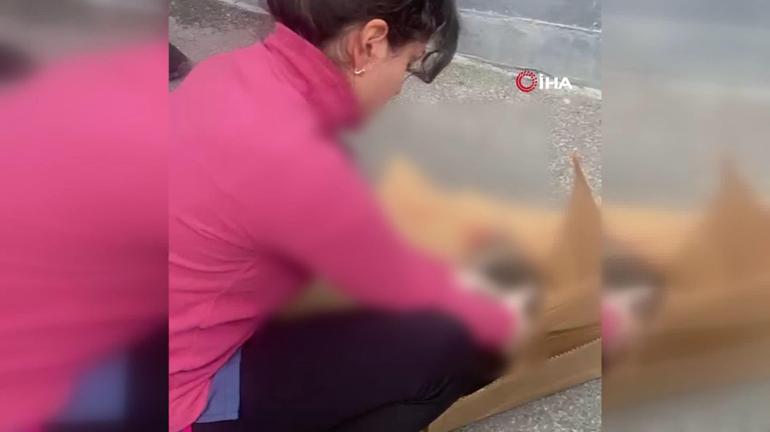 Bagajdaki adamın sırrı ortaya çıktı