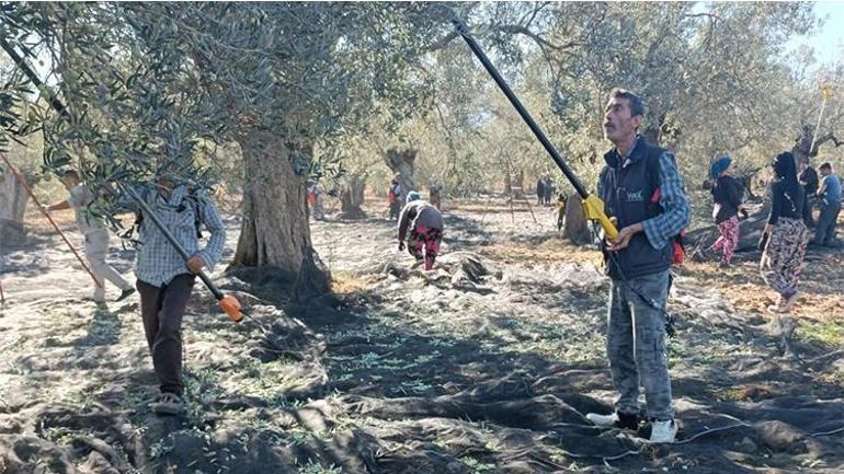 Yöneticiliği bıraktı, ilçesini üretim üssüne çevirdi Şimdi dünyanın dört bir yanına satış yapıyor