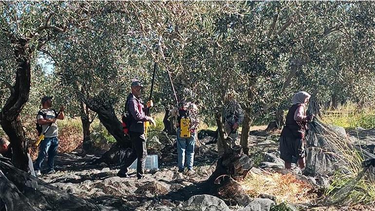 Yöneticiliği bıraktı, ilçesini üretim üssüne çevirdi Şimdi dünyanın dört bir yanına satış yapıyor
