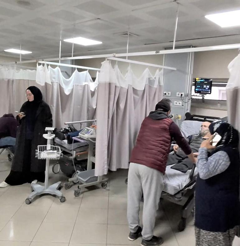 5 bin kişi hastanelik olmuştu Tokattaki salgında evcil hayvan detayı