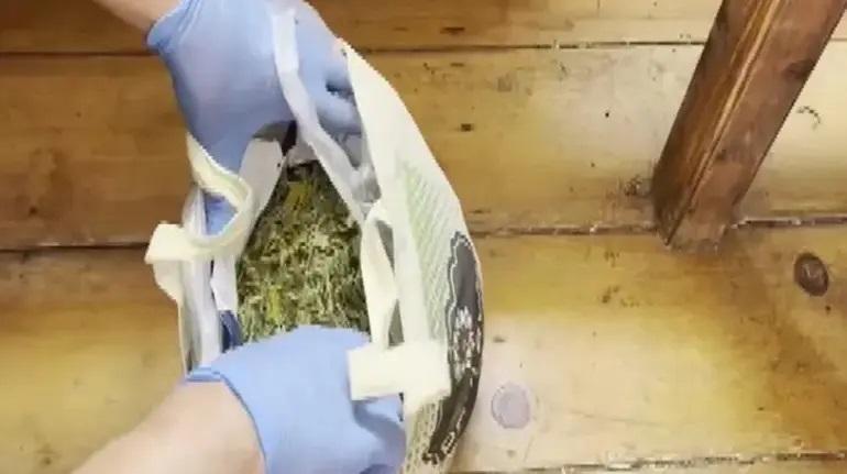 SON DAKİKA | Ünlülere Uyuşturucu Soruşturması Yönetmen Ezel Akayın Test Sonucu Ortaya Çıktı