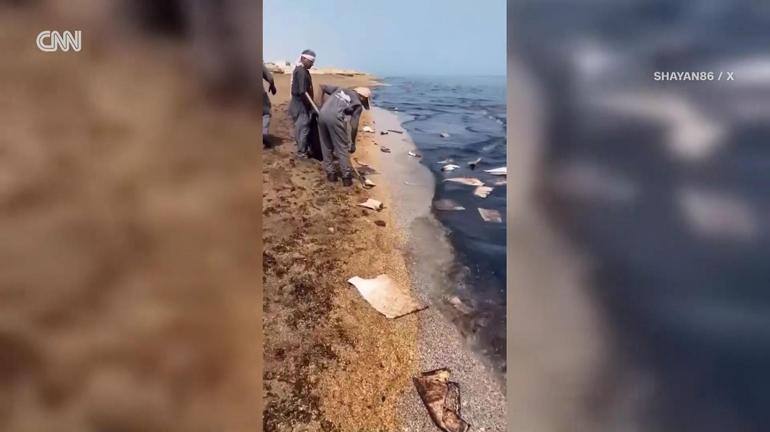 Savaşın görünmeyen yüzü: Basra Körfezi zehirleniyor
