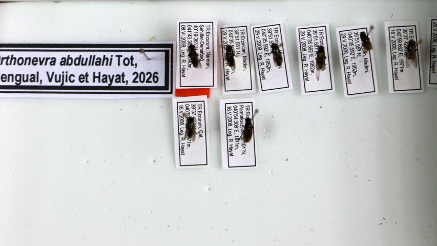 Galeri görseli 1