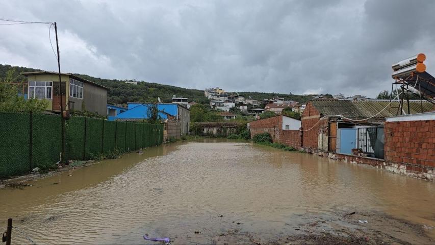 Galeri görseli 2