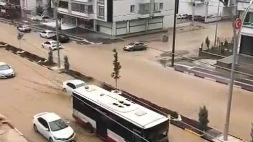 Galeri görseli 2